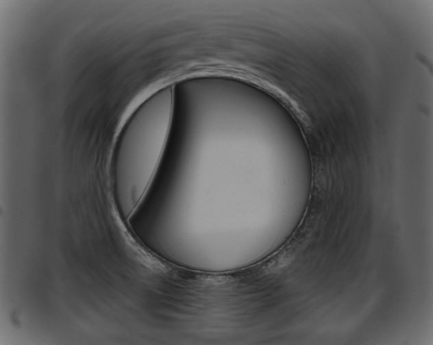 X0000097601522200802290719