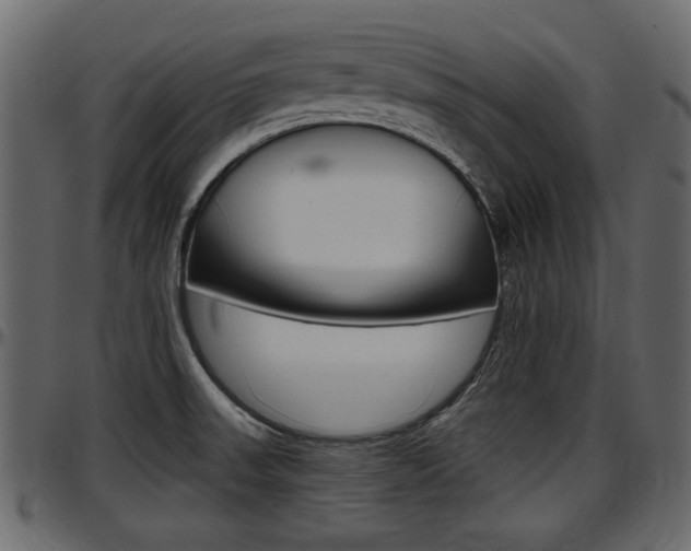 X0000097601523200802290719