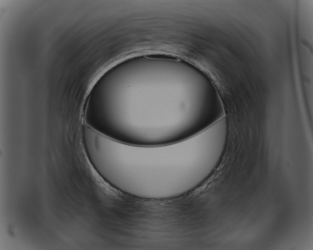 X0000097601524200802290719