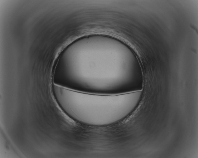 X0000097601525200802290719