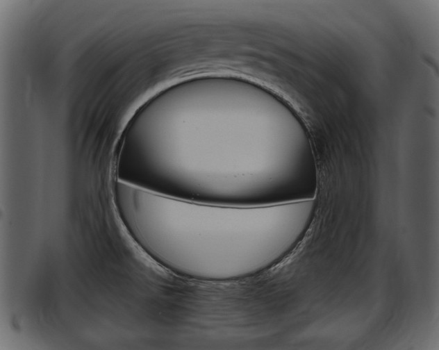 X0000097601526200802290719