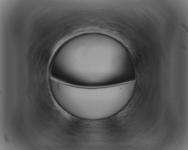 X0000097601527200802290719