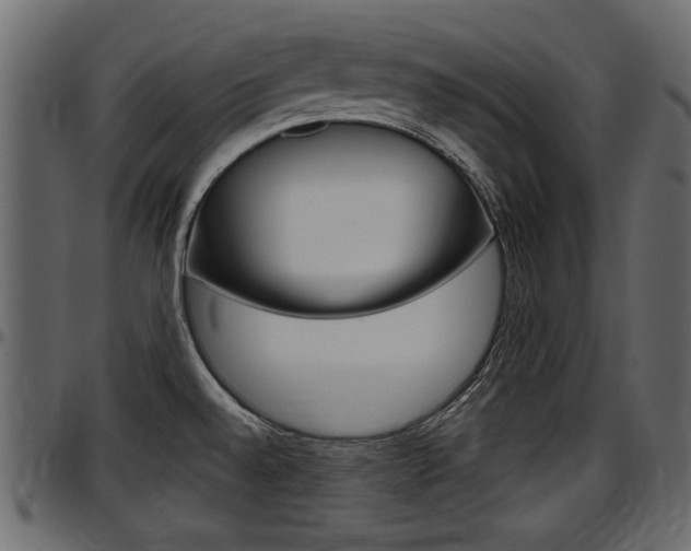 X0000097601528200802290720