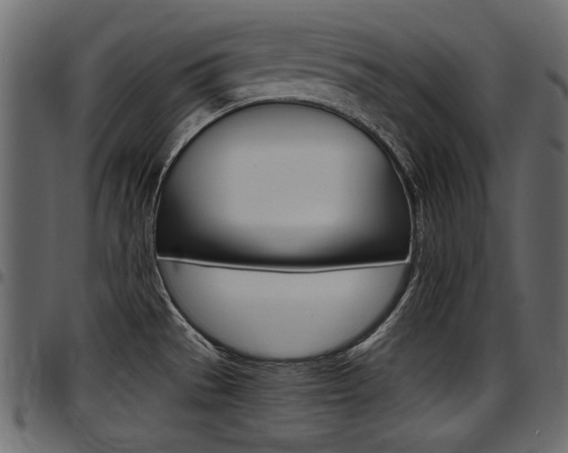 X0000097601529200802290720