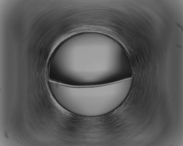 X0000097601531200802290720