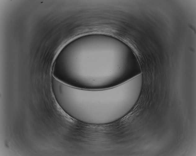 X0000097601532200802290720