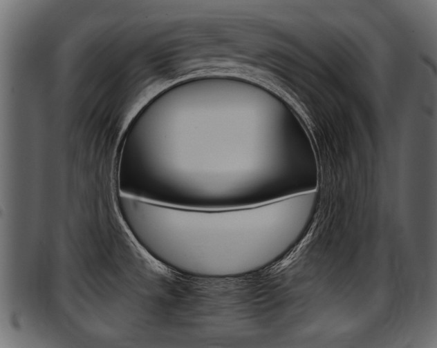 X0000097601533200802290720
