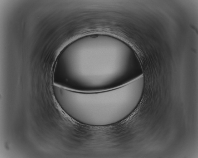 X0000097601534200802290720