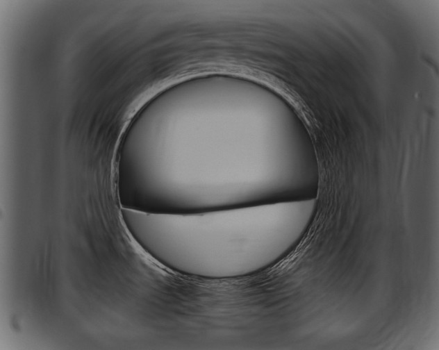 X0000097601535200802290720