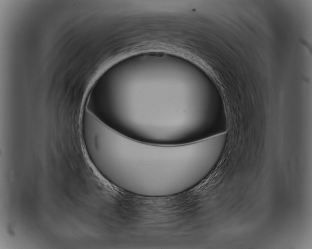 X0000097601536200802290720