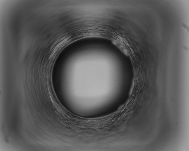 X0000097600001200802291254