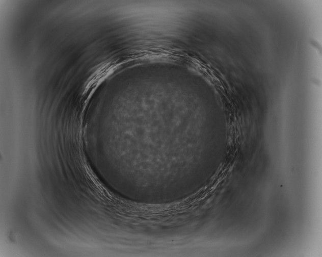 X0000097600002200802291254