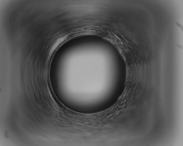 X0000097600003200802291254