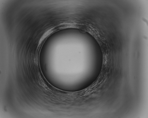 X0000097600004200802291254
