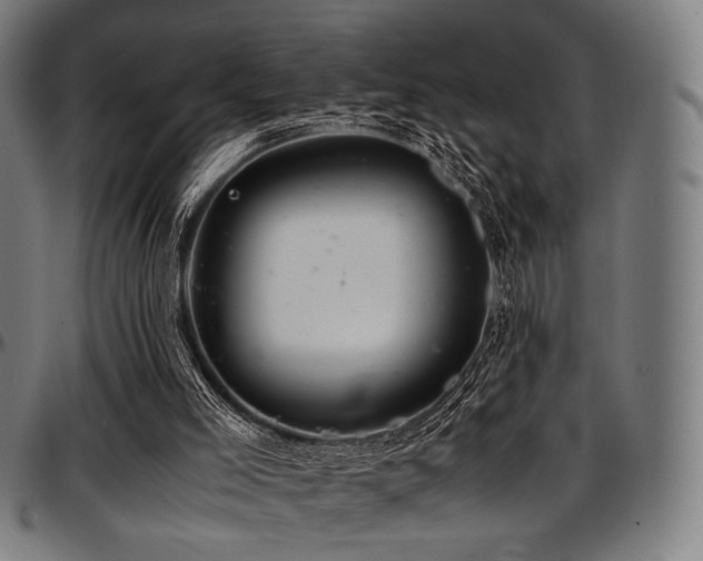 X0000097600005200802291254
