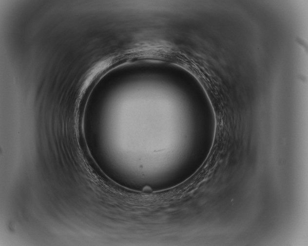 X0000097600006200802291254