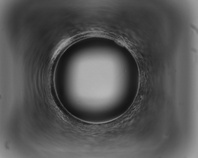 X0000097600007200802291254