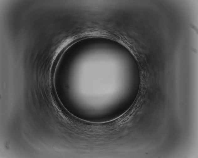 X0000097600008200802291254