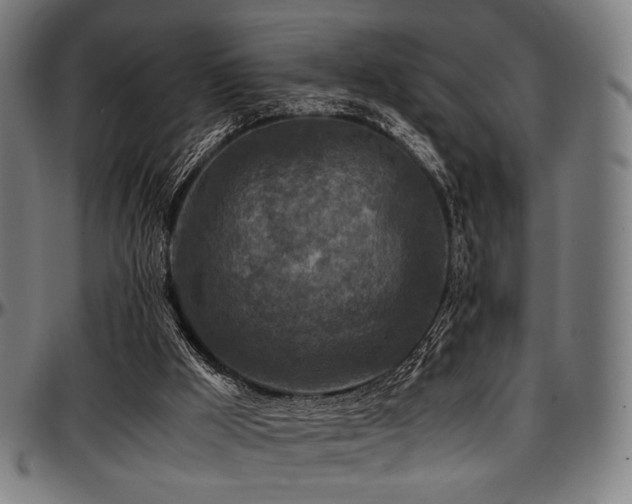 X0000097600009200802291254