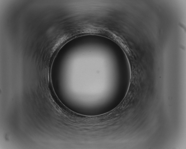 X0000097600011200802291254