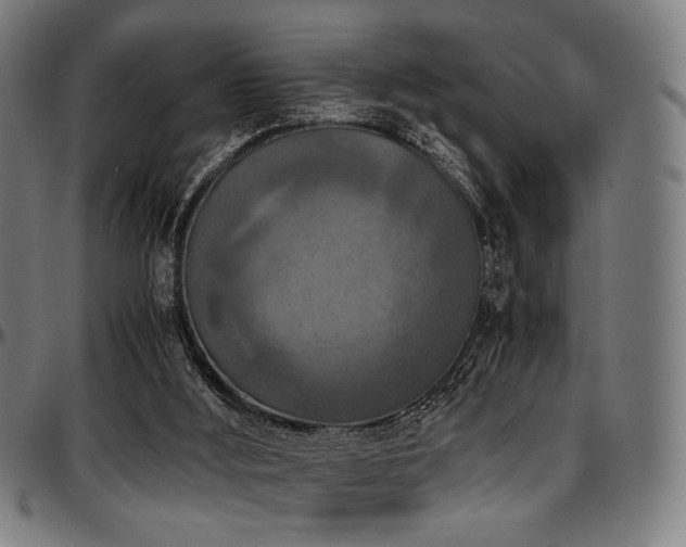 X0000097600012200802291254