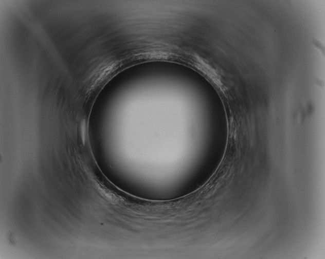 X0000097600013200802291254
