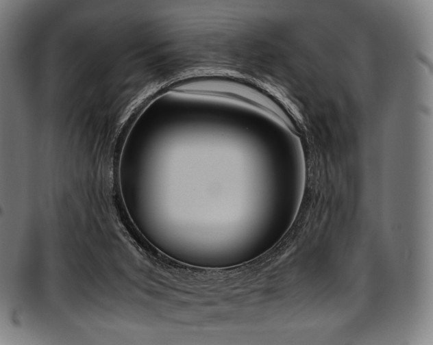 X0000097600015200802291254