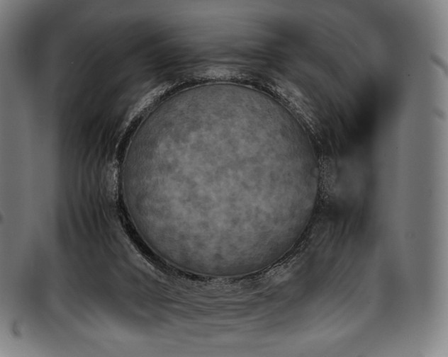X0000097600016200802291254