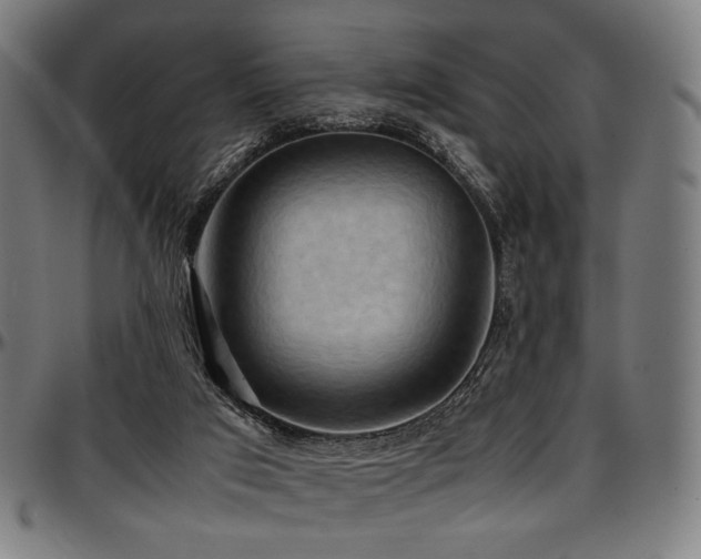 X0000097600017200802291254