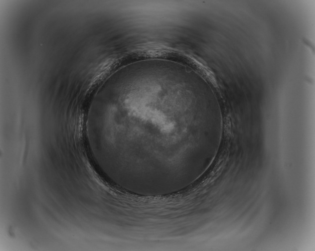 X0000097600018200802291254