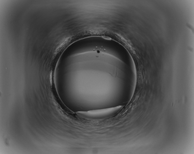 X0000097600019200802291254