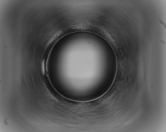 X0000097600020200802291254