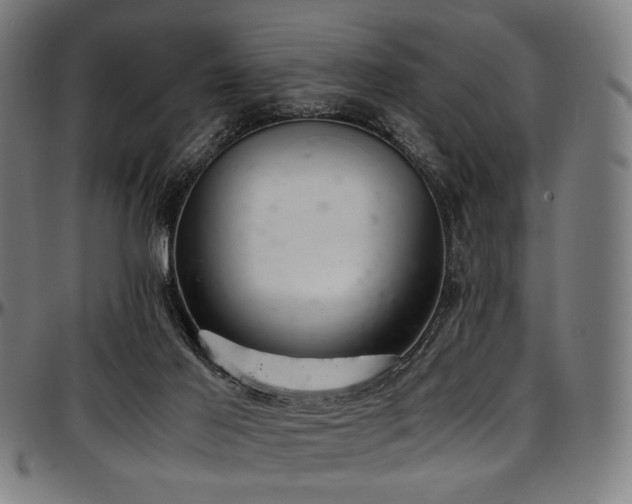 X0000097600021200802291254