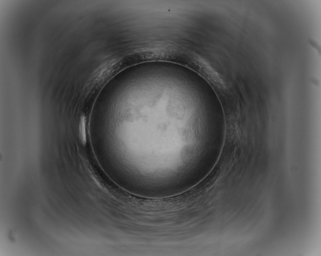 X0000097600022200802291254