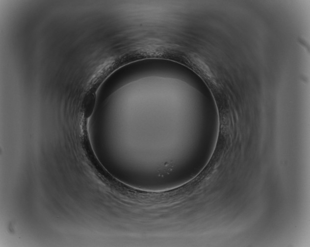 X0000097600023200802291254