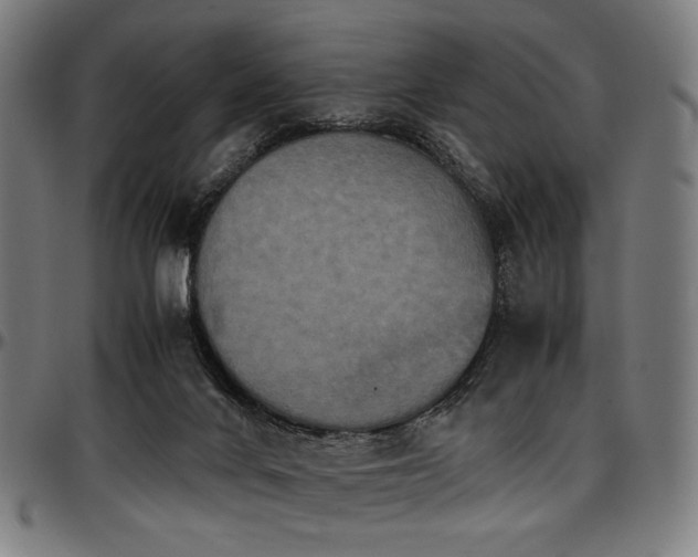 X0000097600024200802291254