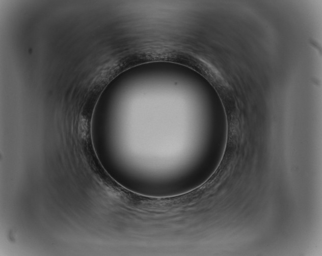 X0000097600025200802291254