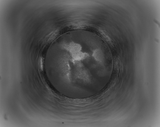 X0000097600026200802291254