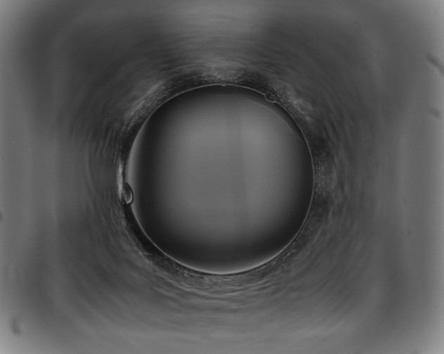X0000097600027200802291254
