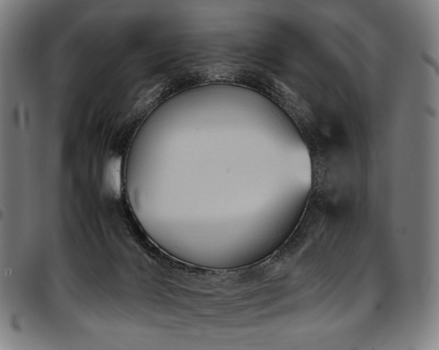 X0000097600028200802291254