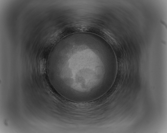 X0000097600030200802291254