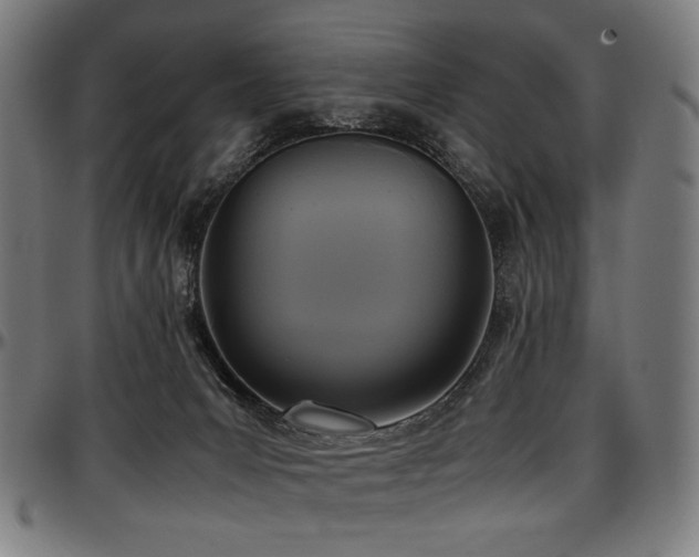 X0000097600031200802291254