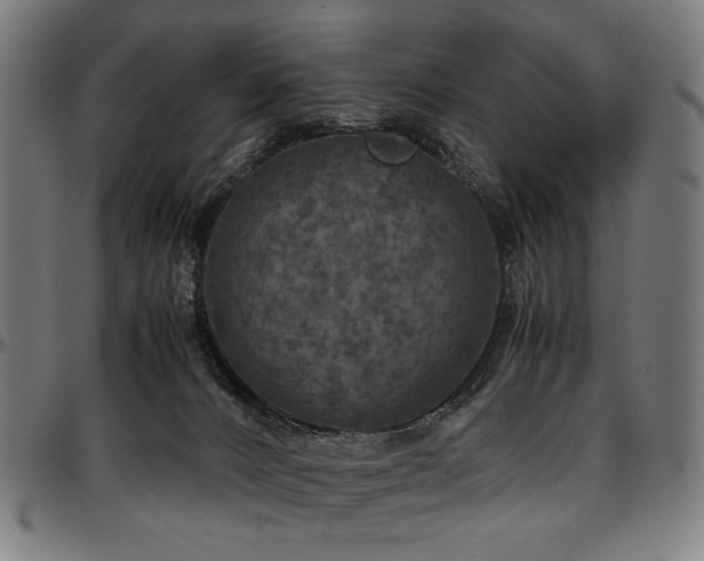 X0000097600032200802291254