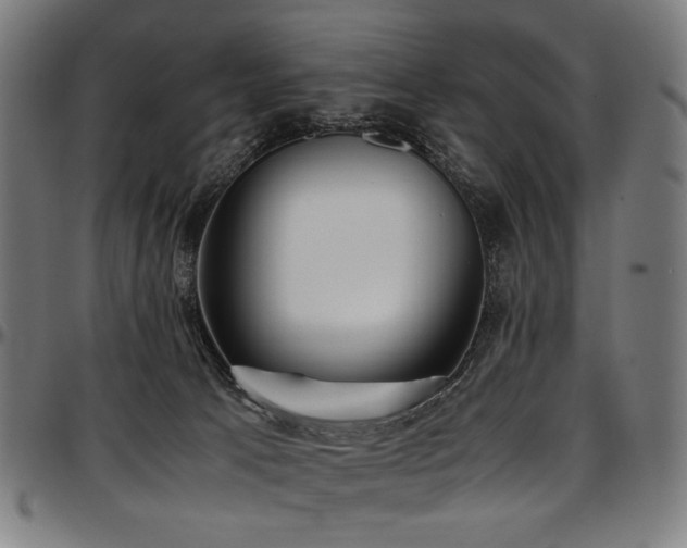 X0000097600033200802291254