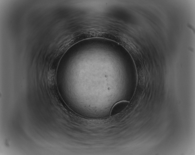 X0000097600034200802291254