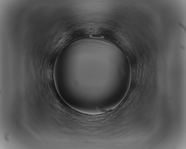 X0000097600035200802291254