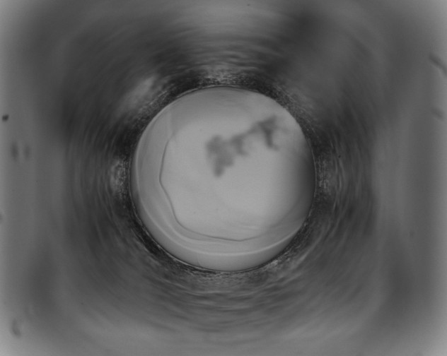 X0000097600036200802291254
