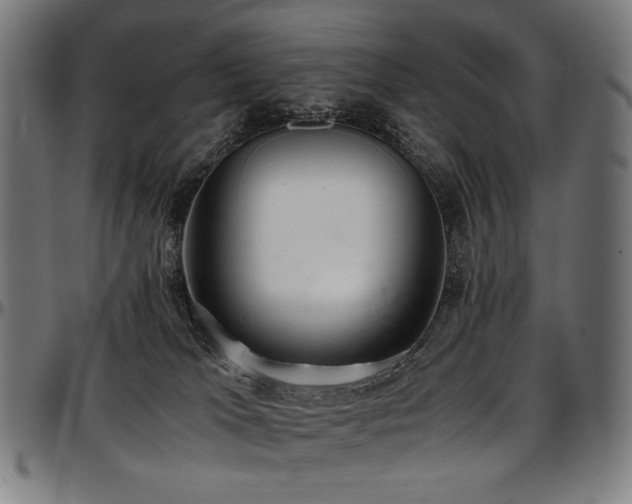 X0000097600037200802291254