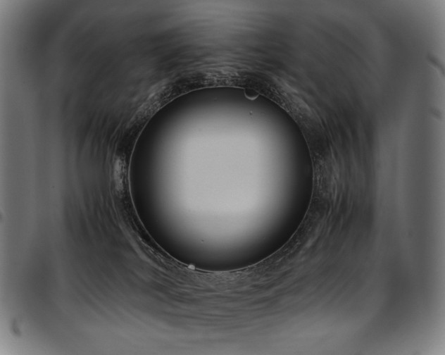 X0000097600038200802291254