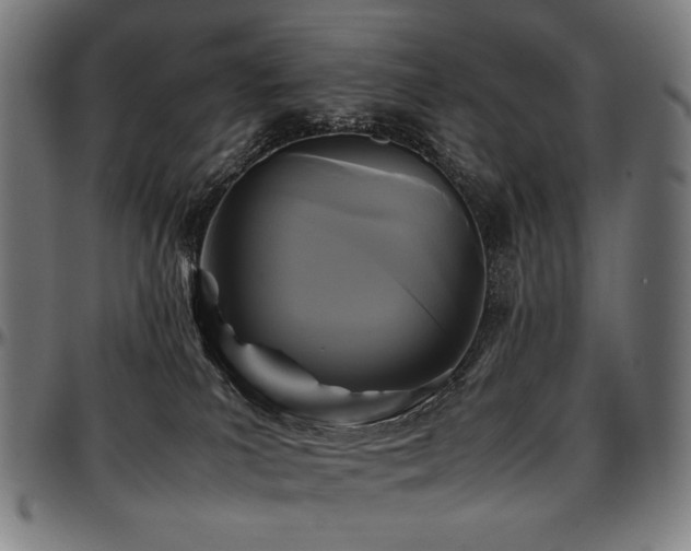 X0000097600039200802291254
